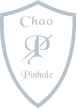 Chao pinhole surgical technique logo